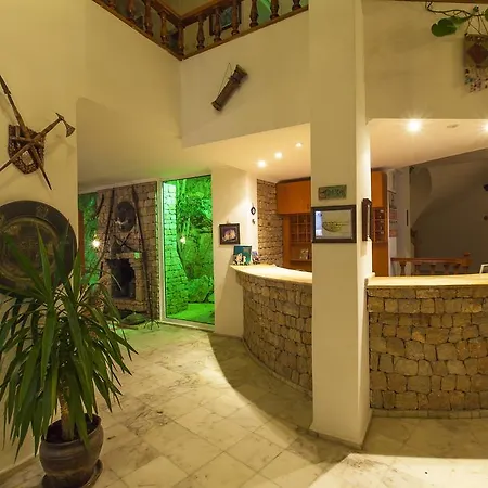 Bed & Breakfast Olimpos 4*